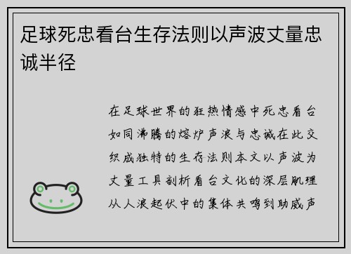 足球死忠看台生存法则以声波丈量忠诚半径